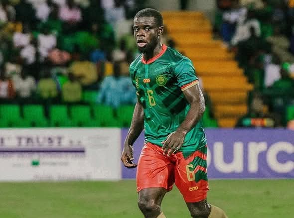 Lions indompatables