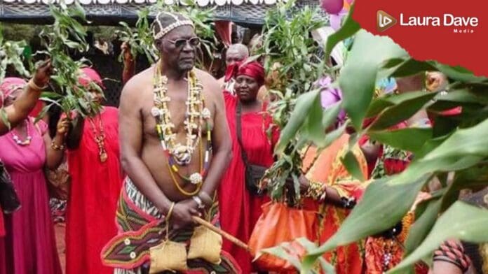 WhatsApp Image 2026-02-17 at 12.09.14